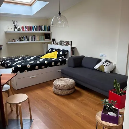 Apartmán Centrico En *